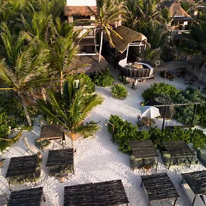 Hotel Orchid House (adults Only) ****