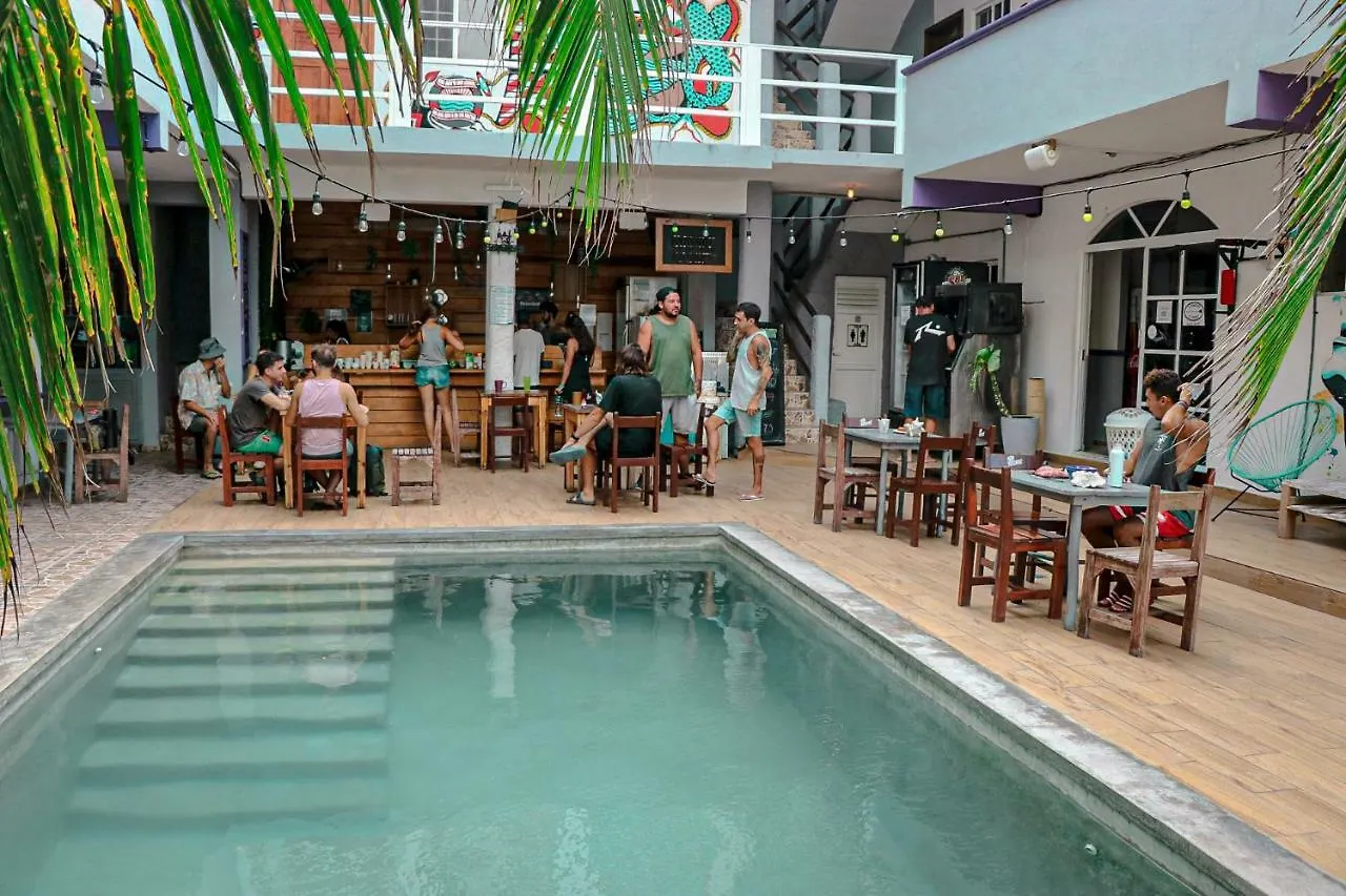 Les Trois Singes - Friendly Hostel